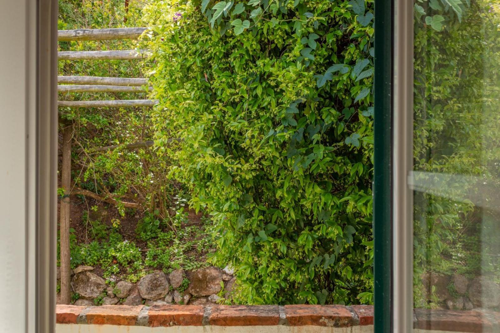 Casa Da Adoa B&B Портинью-да-Аррабида Номер фото